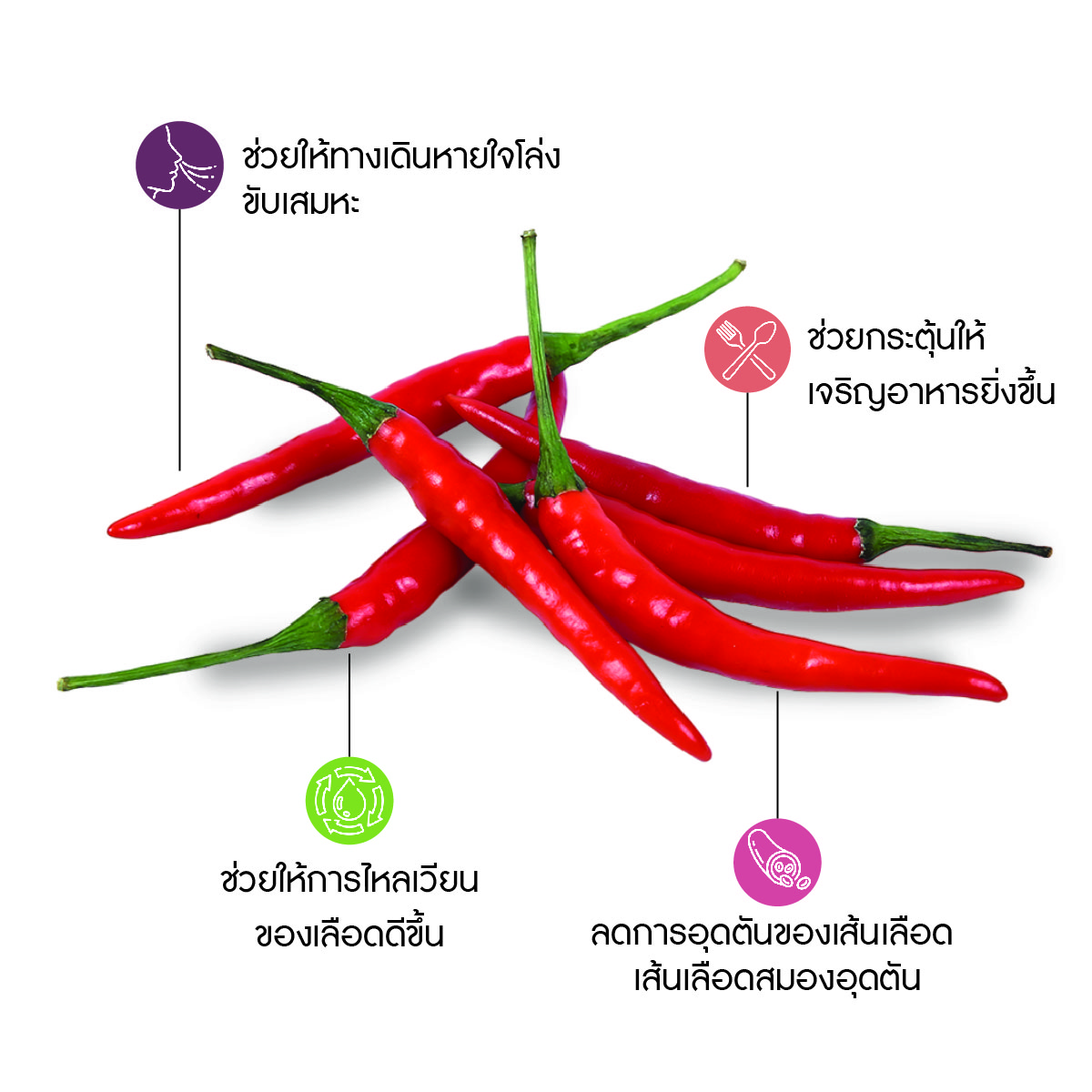 พริกจินดาแดง (Chili Pepper) – Thai Forest Food