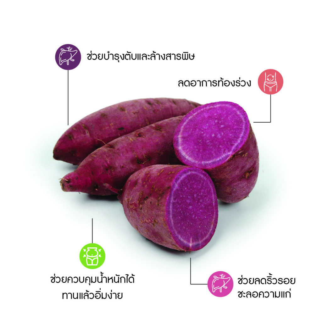 มันม่วง Purple Sweet Potato Thai Forest Food